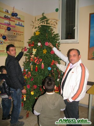 spoglio albero10_ 5